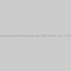 Image of Recombinant Escherichia coli yfdC Protein (aa 1-310)